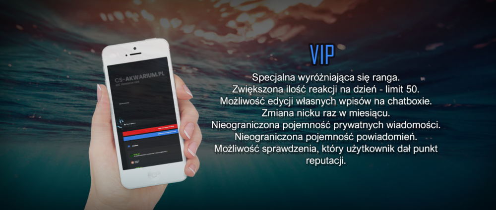 image.png.2308ae8a8308d68523d6c37ecb417cbf.png
