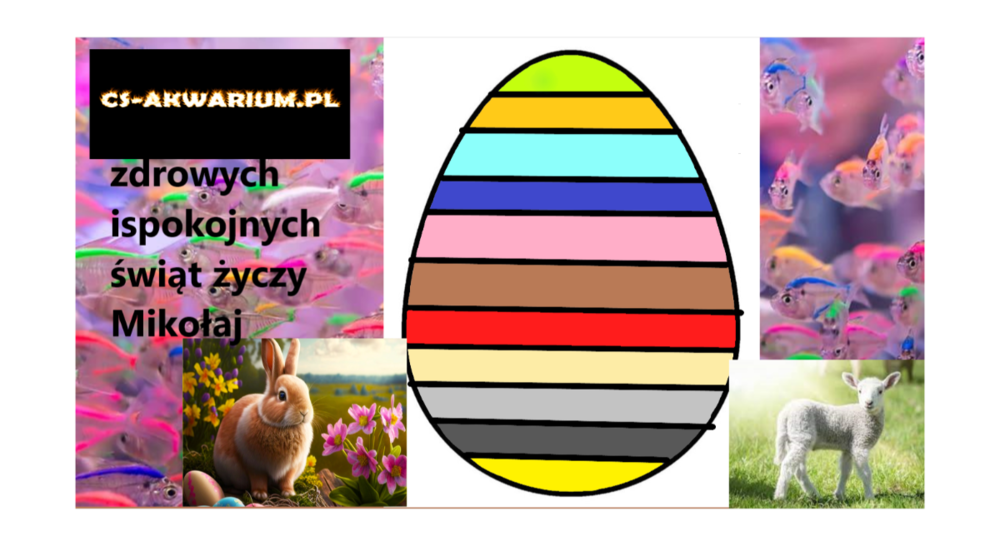 1430883637_Beznazwy.thumb.png.dc1c850a7c6ffd3c3dedf5d4462f972b.png