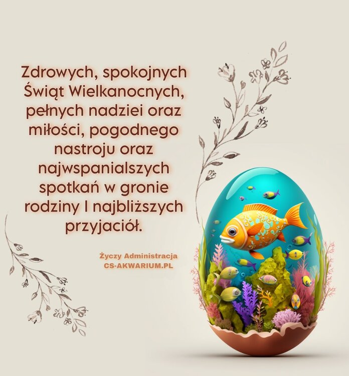 Picsart_23-04-08_17-42-58-982.thumb.jpg.4af2edf203069a26b4e85088ba9c8a04.jpg