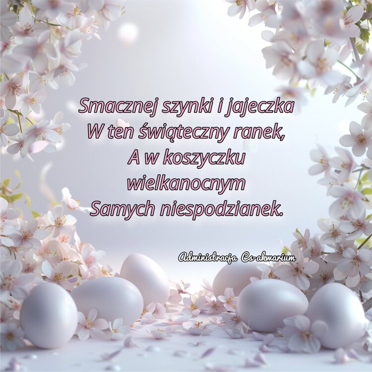 Picsart_24-03-30_15-57-02-887.thumb.jpg.43d5e16632f6d21db3ad345c0e96ec70.jpg
